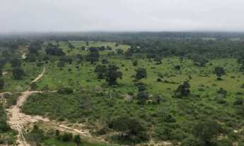 Imagem 6: Fazenda à Venda para Pecuária Pantanal Alto (Estrutura para Pousada) no Município de Pocon