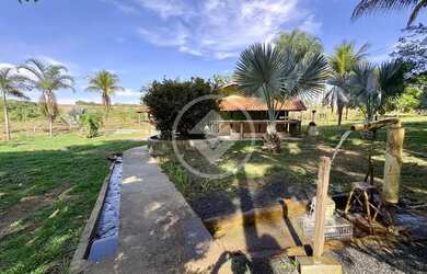 Imagem 7: Professor Jamil - Chácara de 7 Alqueires codigo: 161697