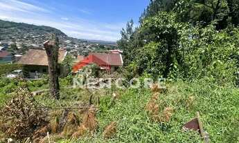 Imagem 7: Lote em Paris - Emancipação - Parobé/RS