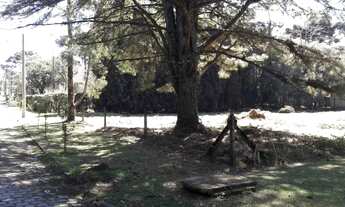 Imagem 3: Terreno - Bairro Parque das Hortênsias