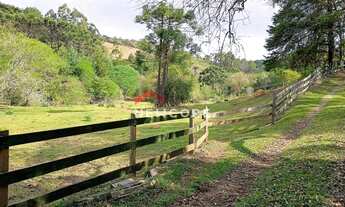 Imagem 4: Sítio em Cunha - Centro - Cunha/SP