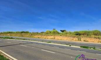 Imagem 4: AREA - LOTEAMENTO RESIDENCIAL ARBORAIS - SP