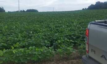 Imagem 6: FAZENDA 40 ALQUEIRES MUNICIPÍO DE EDEIA-GO