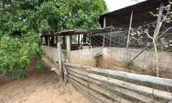 Imagem 6: SÍTIO Á VENDA NA SAÍDA PARA BOCAIUVA- MG