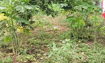 Imagem 4: Vendo ou troco uma chácara completa