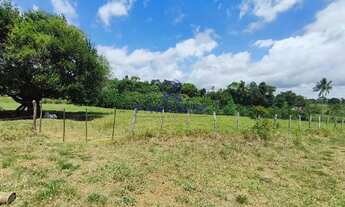 Imagem 3: Fazenda, Zona Rural, Cachoeira - R$ 2.91 mi, Cod: 68954