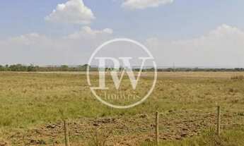 Imagem 6: Fazenda à Venda em Goiás 201 Alqueires, Cana-de-Açúcar, Topografia Plana etc