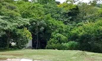 Imagem 3: TERRENO EM CONDOMÍNIO - BOSQUE - SP