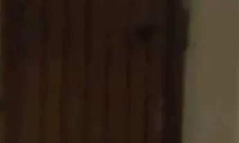 Imagem 7: VENDO Apartamento