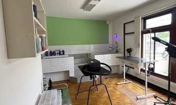 Imagem 6: VENDO PONTO CLINICA VETERINÁRIA E PET SHOP