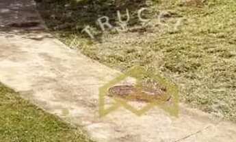 Imagem 4: Terreno à venda, 402 m² por R$ 700.000,00 - Swiss Park - Campinas/SP