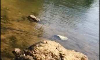 Imagem 4: Ágio de Chácara na Beira do Rio Uru