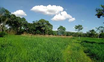 Imagem 3: Fazenda Alto Gurguéia