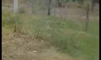 Imagem 2: Ágio de Chácara na Beira do Rio Uru