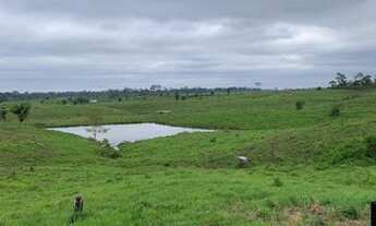 Imagem 6: Venda de fazenda em porto acre