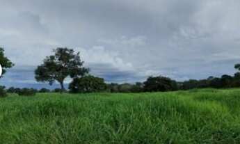 Imagem: Venda de fazenda em porto acre