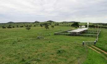 Imagem 7: 302 alqueires em Serranópolis-GO