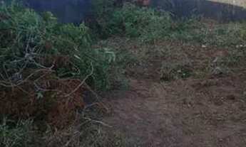 Imagem 3: Terreno 10x15 próximo da estrada de Genipabu