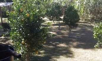 Imagem: Terreno 360.00m2x2