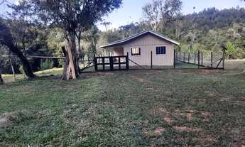 Imagem 3: Casa de pinus tratado (não pega cupim)por 49,900