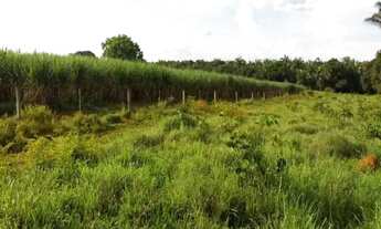 Imagem 5: Fazenda com 3 dormitórios à venda, 3700000 m² por R$ 13.500.000,00 - Zona Rural - Acorizal