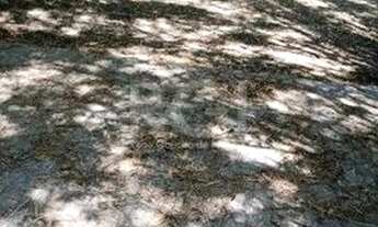 Imagem 3: Casa Condominio para Venda - 310m², 4 dormitórios, sendo 4 suites, 3 vagas - Tristeza