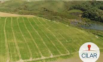 Imagem 6: Mandirituba - Terreno Padrão