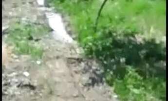 Imagem 5: Terreno top pronto pra construir documento ok