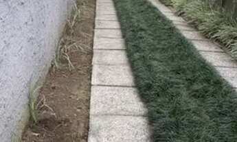 Imagem 3: Locação casa Casa com 2 dormitórios