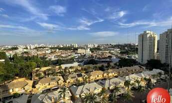 Imagem 3: São Caetano do Sul - Apartamento Padrão - Jardim São Caetano