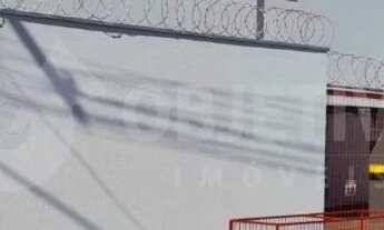 Imagem: Apartamento para aluguel, 2 quartos, 1 vaga