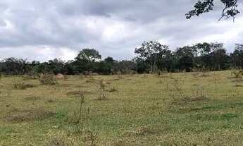 Imagem 3: Terreno 100.000m2 (10 hectares), topografia muito boa, local sossegado