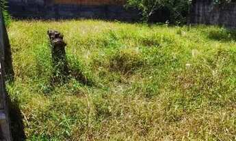 Imagem 5: Lote em Itaoca-ES