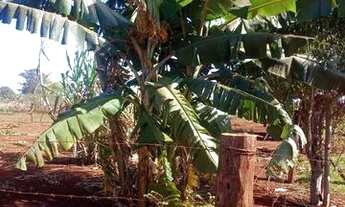 Imagem 5: Chácara Chácara com venda por R$250.000