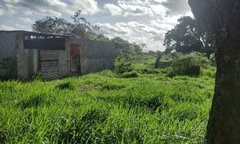 Imagem 5: Sitio em inhambupe 7 tarefa escriturado!