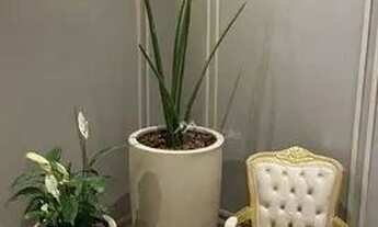 Imagem 7: Apartamento com 2 dormitórios, 75 m² - venda por R$ 1.000.000,00 ou aluguel por R$ 5.900,0