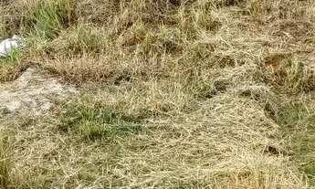 Imagem 3: Ótimo Terreno Jardim Bonança