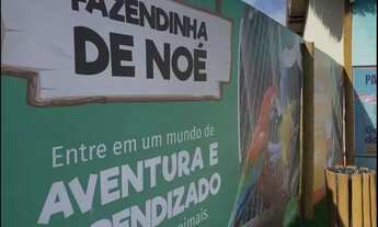 Imagem 3: Chacaras a Venda em Trindade