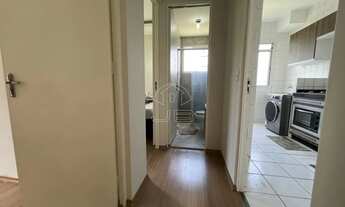 Imagem 3: Apartamento para venda e locação no Jardim Santa Terezinha (nova Veneza), Sumaré,SP