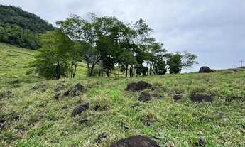 Imagem: Vende-se terreno na beira no asfalto em