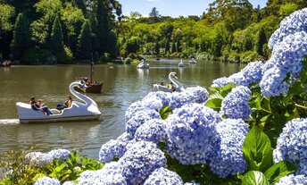 Imagem 6: Terreno - Bairro Linha Bonita