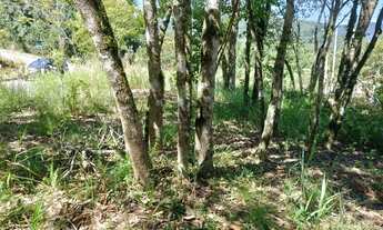 Imagem 6: Terreno bairro Joaneta, Picada Café. RS REF: 353