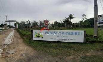 Imagem 3: Lote em - BR 174 - Manaus/AM