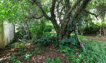 Imagem 4: Terreno à venda com 1800 m² no São Lourenço em Curitiba