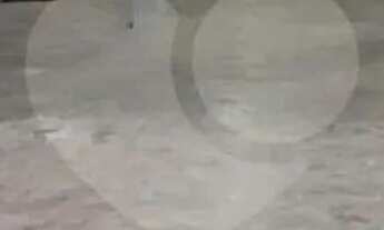 Imagem 7: Prédio inteiro à venda ou para locação em Jardim Brasil (zona Norte) - SP