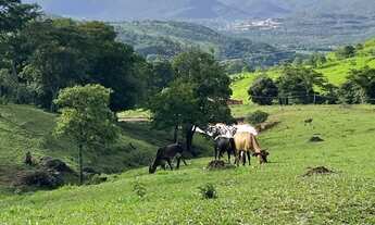 Imagem 2: Terreno com vista incrível