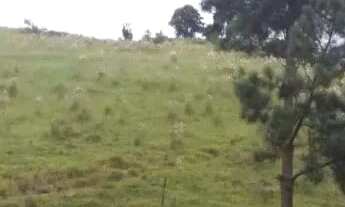 Imagem 5: Terreno para investidor em São Roque !