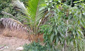 Imagem 4: Villa Suíça. Terreno 359m2. R$175.000,00