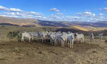 Imagem 5: Fazenda/Sítio/Chácara para venda possui 90 metros quadrados em Canabrava - Francisco Sá
