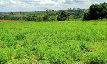 Imagem 5: Terreno módulo rural região florestal